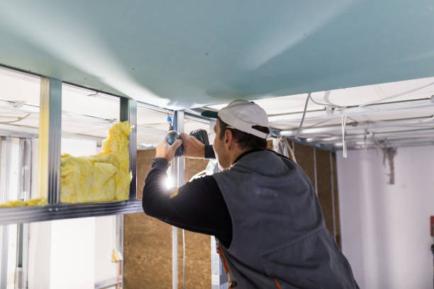 Best Cellulose Insulation in Lennox, CA