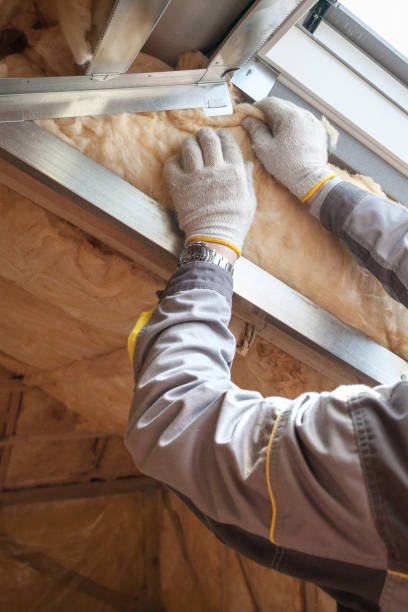 Best Spray Foam Insulation in Lennox, CA