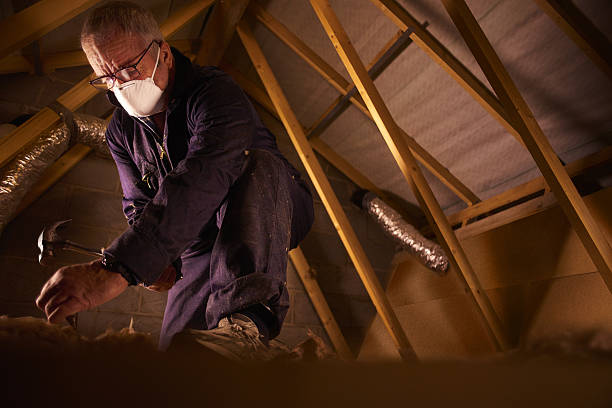 Trusted Lennox, CA Insulation Contractor Experts